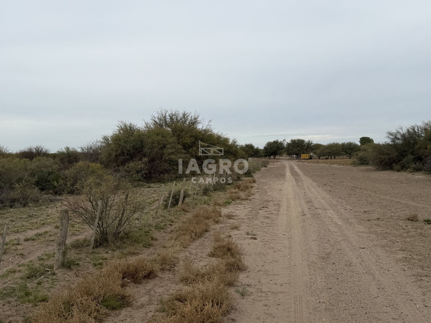 Campo  en Venta en Caleu Caleu,  Caleu Caleu - Bahía Blanca Propiedades | SITIO OFICIAL l