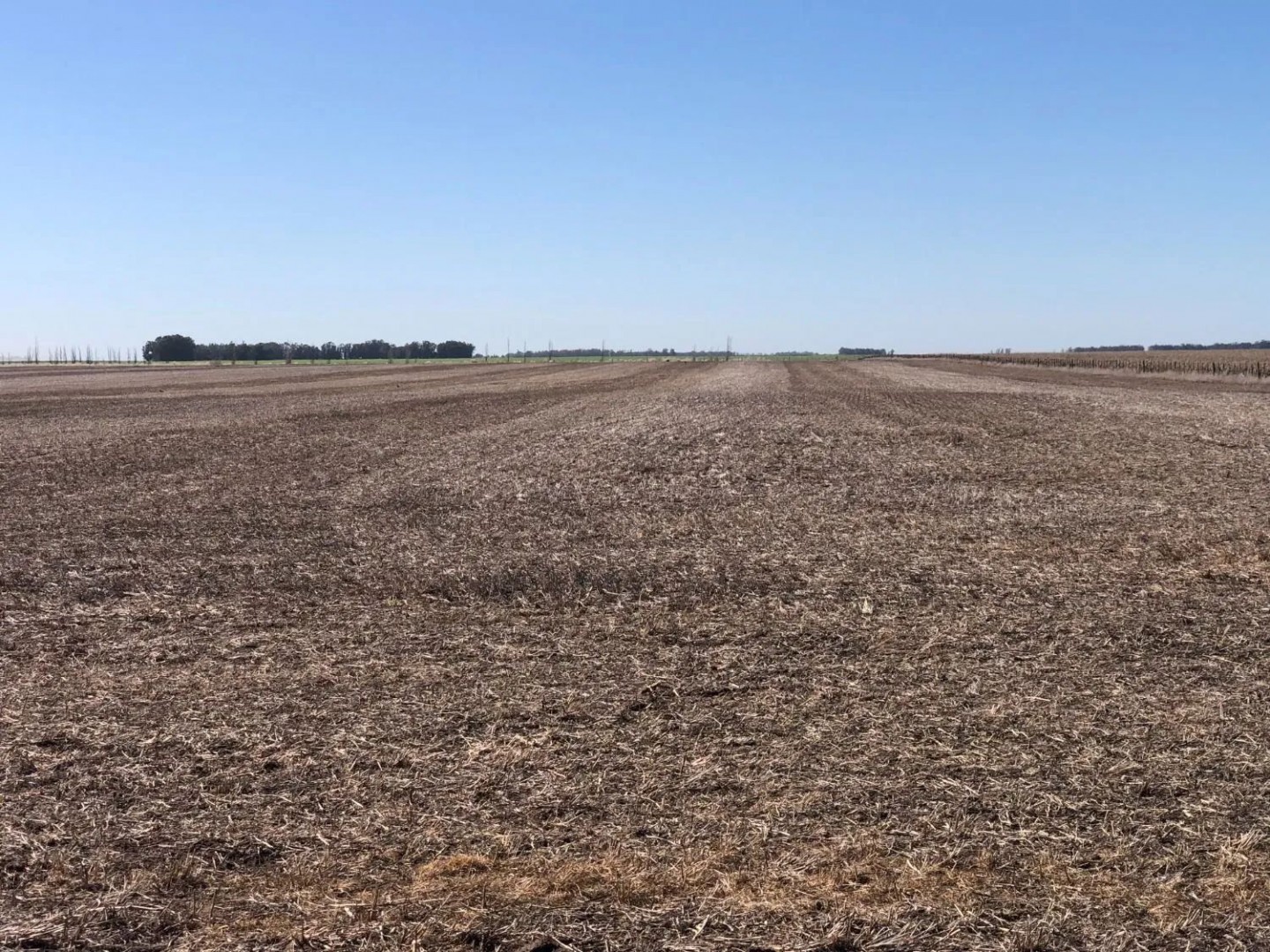 Campo  en Venta en Tres Arroyos,  Tres Arroyos - Bahía Blanca Propiedades | SITIO OFICIAL l