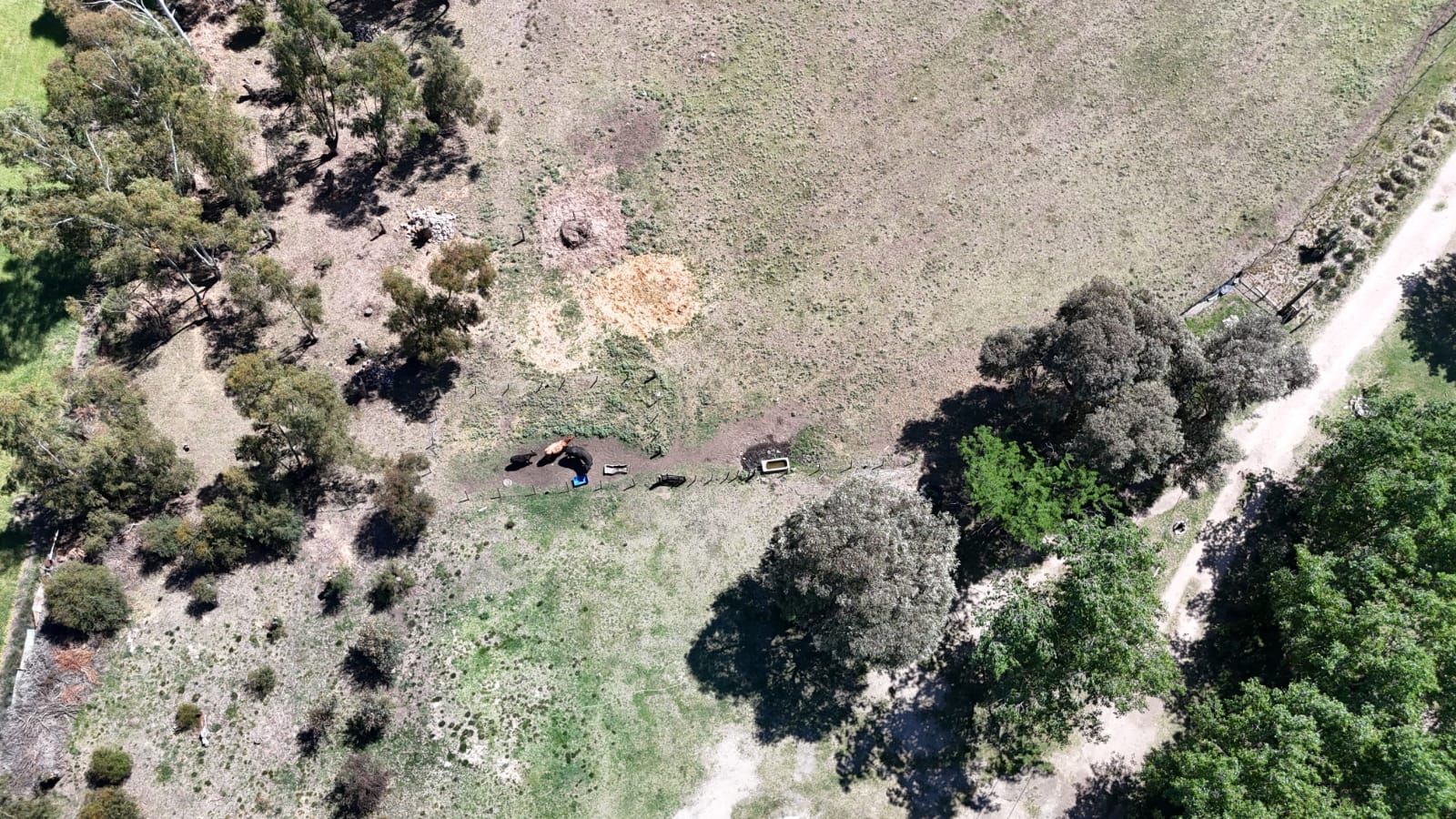 Complejo Turístico  en Venta   Coronel Suarez - Bahía Blanca Propiedades | SITIO OFICIAL l