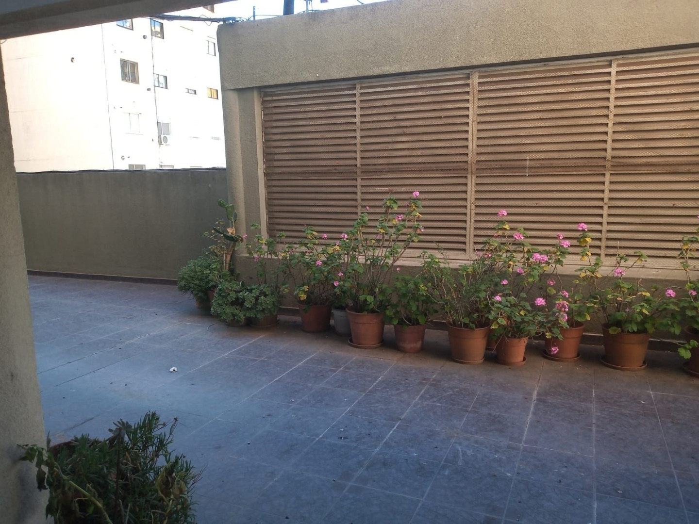Departamento en Alquiler en Zelarrayan 151, Centro, Bahía Blanca - Bahía Blanca Propiedades | SITIO OFICIAL l