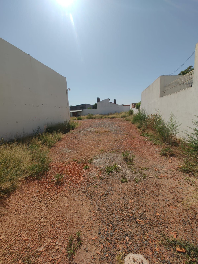 Galpón en Alquiler en Maldonado 845,  Bahía Blanca - Bahía Blanca Propiedades | SITIO OFICIAL l