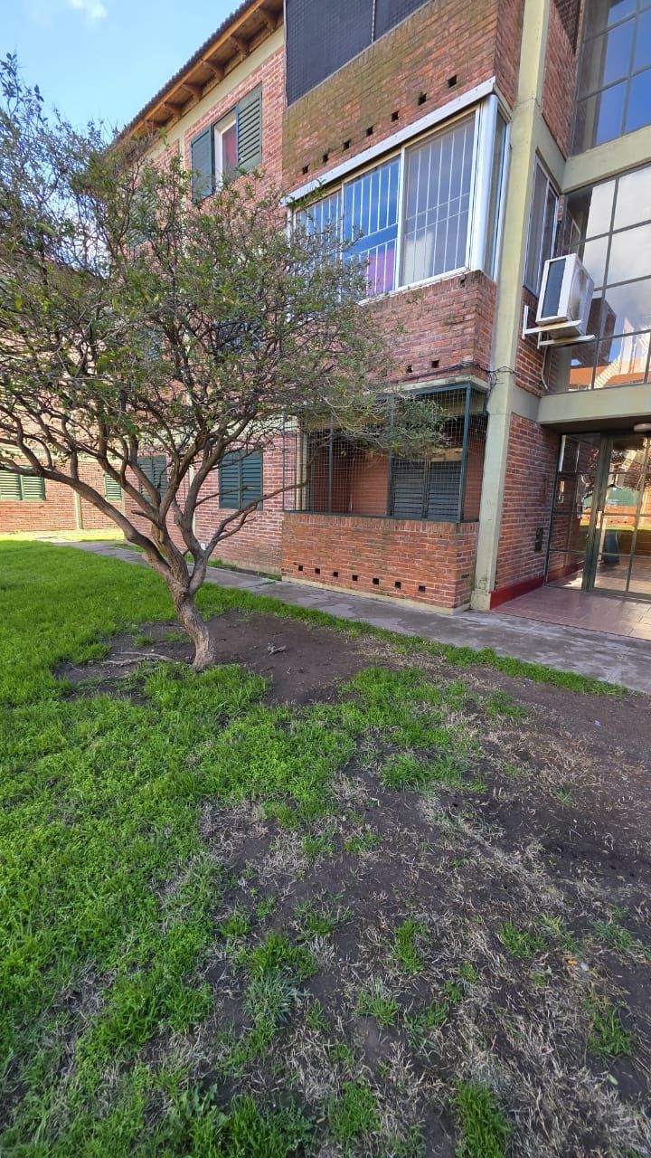 Departamento en Alquiler en Piedrabuena 1235, UPCN, Bahía Blanca - Bahía Blanca Propiedades | SITIO OFICIAL l