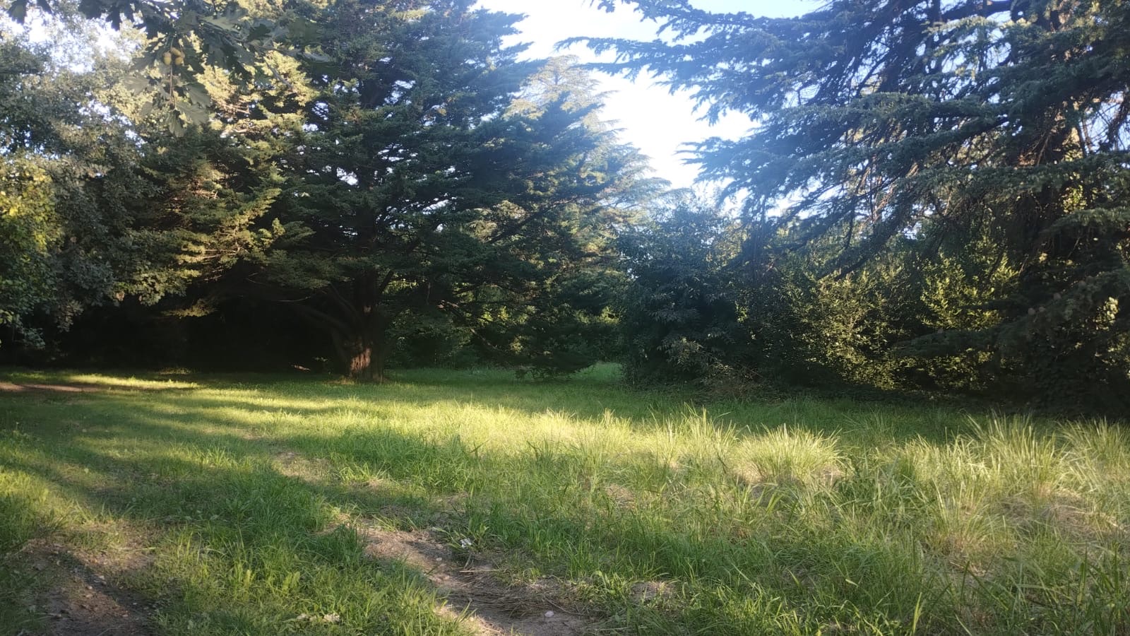 Terreno en Venta  Parque Golf, Sierra de  la Ventana - Bahía Blanca Propiedades | SITIO OFICIAL l