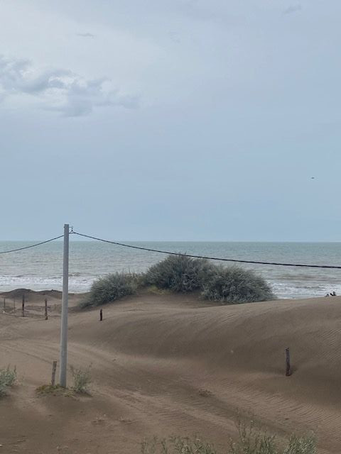 Duplex en Venta   Pehuen Co - Bahía Blanca Propiedades | SITIO OFICIAL l