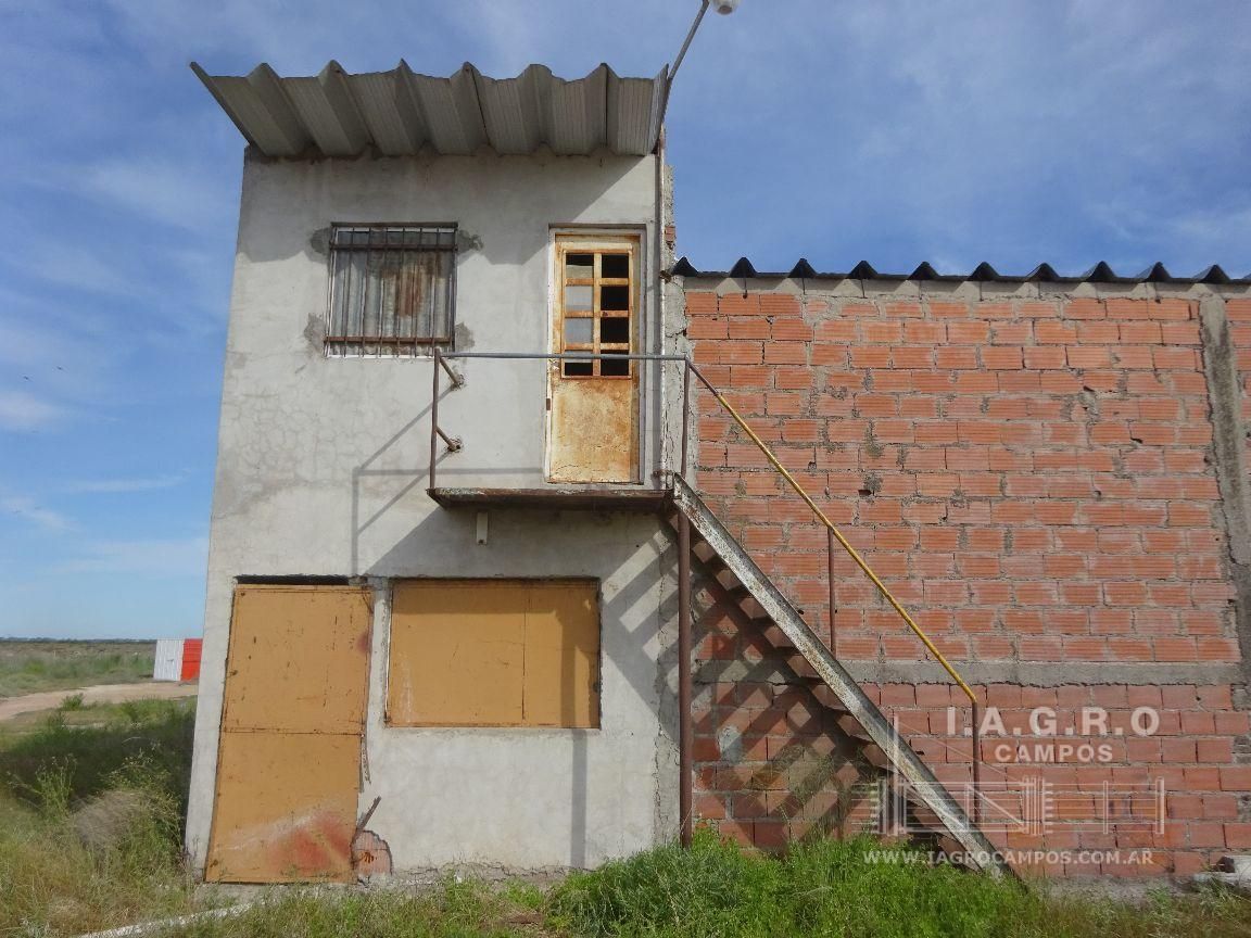 Galpón en Venta en Sussini Y Lugones,  General Cerri - Bahía Blanca Propiedades | SITIO OFICIAL l