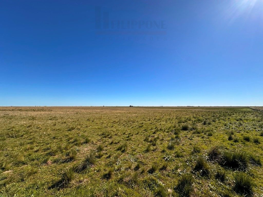 Campo  en Venta en Ruta 35 - Bahía Blanca Propiedades | SITIO OFICIAL l