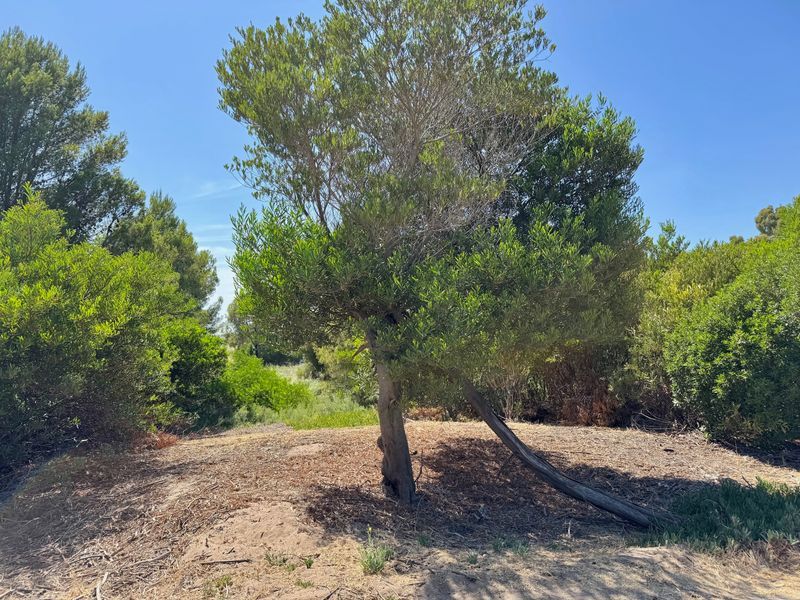Terreno en Venta en La Florida, El Sauce, Monte Hermoso - Bahía Blanca Propiedades | SITIO OFICIAL l