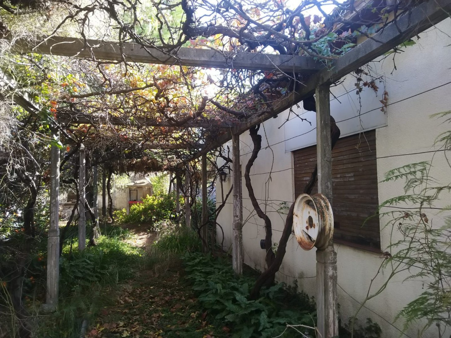 Casa en Venta en 25 DE MAYO 315, Pedro Pico, Bahía Blanca - Bahía Blanca Propiedades | SITIO OFICIAL l