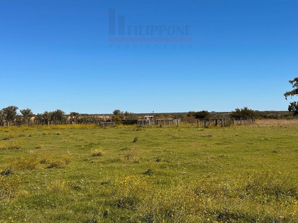 Campo  en Venta en Ruta 35 - Bahía Blanca Propiedades | SITIO OFICIAL l