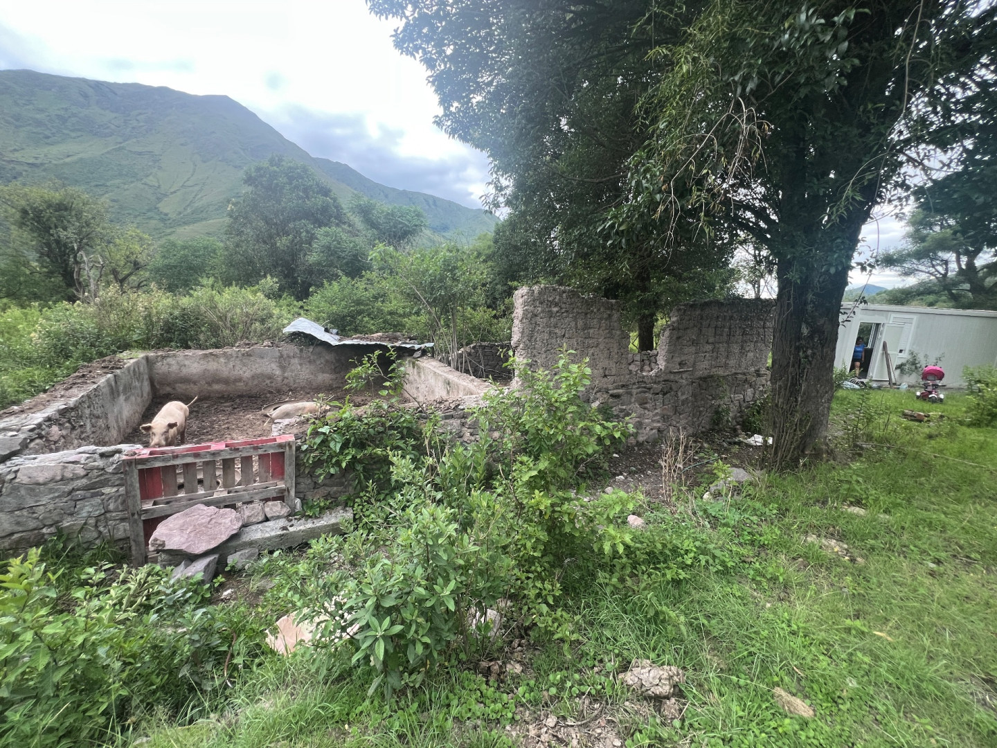 Terreno en Venta en Barcena,  Tumbaya - Jujuy - Bahía Blanca Propiedades | SITIO OFICIAL l
