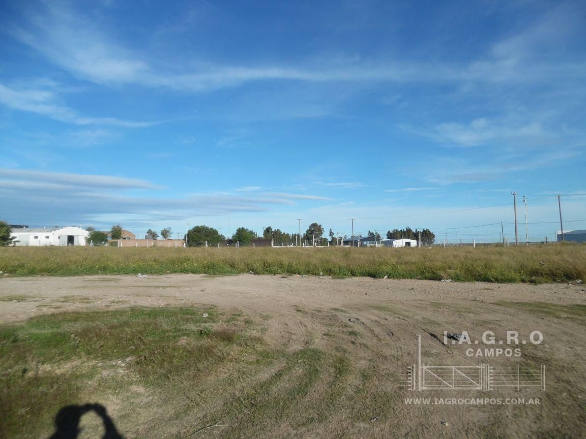 Terreno en Venta en Ruta Nacional 3 Sur Km 695,  Bahía Blanca - Bahía Blanca Propiedades | SITIO OFICIAL l