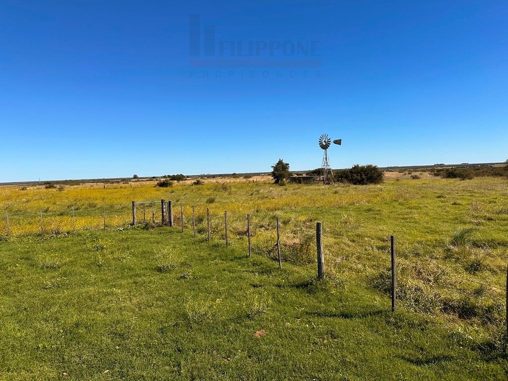 Campo  en Venta en Ruta 35 - Bahía Blanca Propiedades | SITIO OFICIAL l