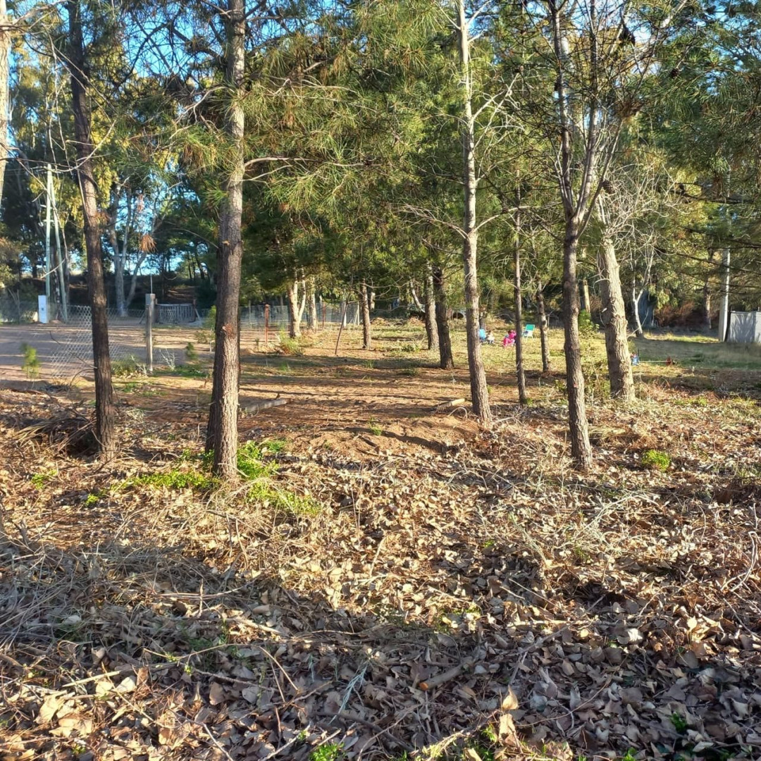 Terreno en Venta en Calle 8 Entre 9 Y 11, Pehuen Co,  Pehuen Co - Bahía Blanca Propiedades | SITIO OFICIAL l