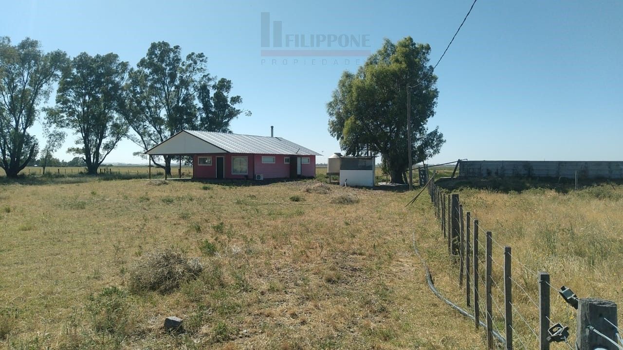 Campo  en Venta en Ruta Nacional 35 Km15,  Bahía Blanca - Bahía Blanca Propiedades | SITIO OFICIAL l