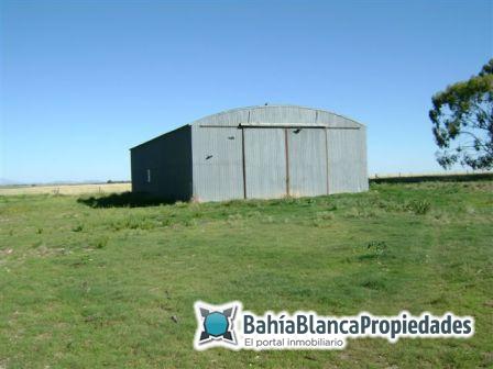 Campo  en Venta en SAAVEDRA - EXCELENTE!,  Saavedra - Bahía Blanca Propiedades | SITIO OFICIAL l