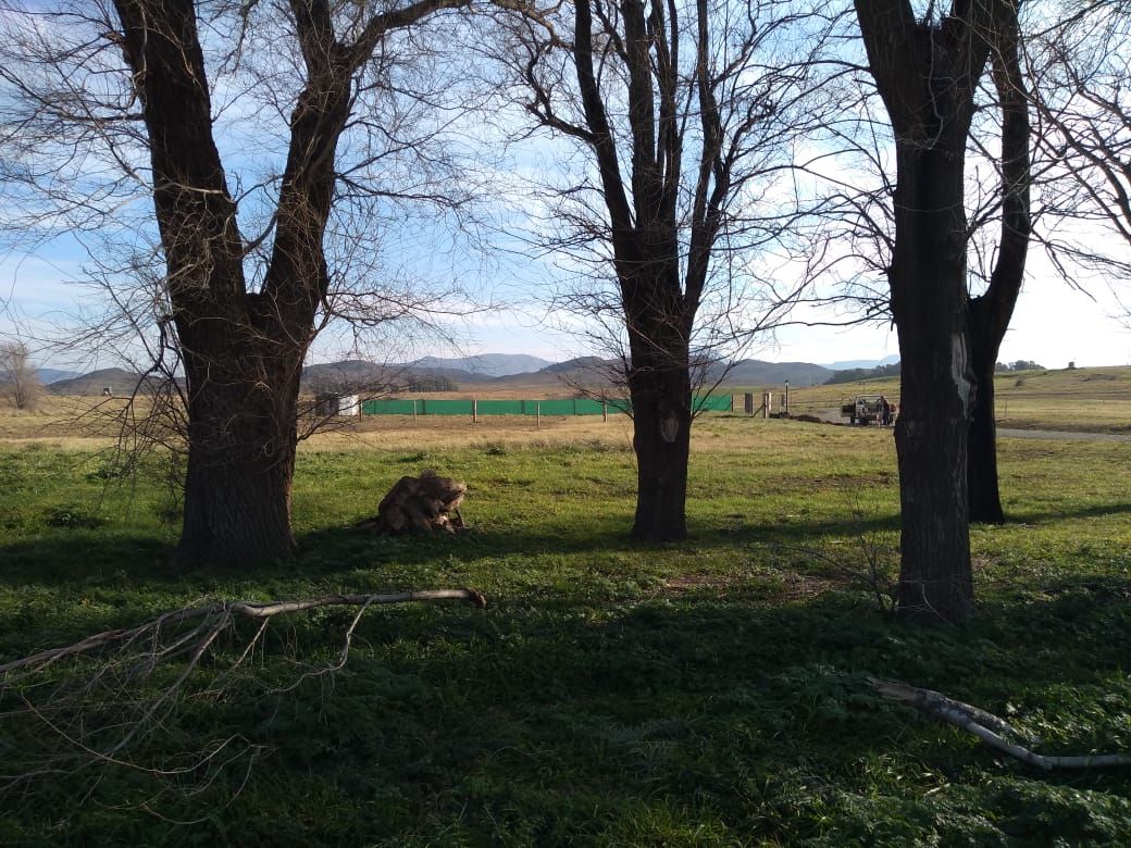 Terreno en Venta  Las Verbenas , Sierra de  la Ventana - Bahía Blanca Propiedades | SITIO OFICIAL l