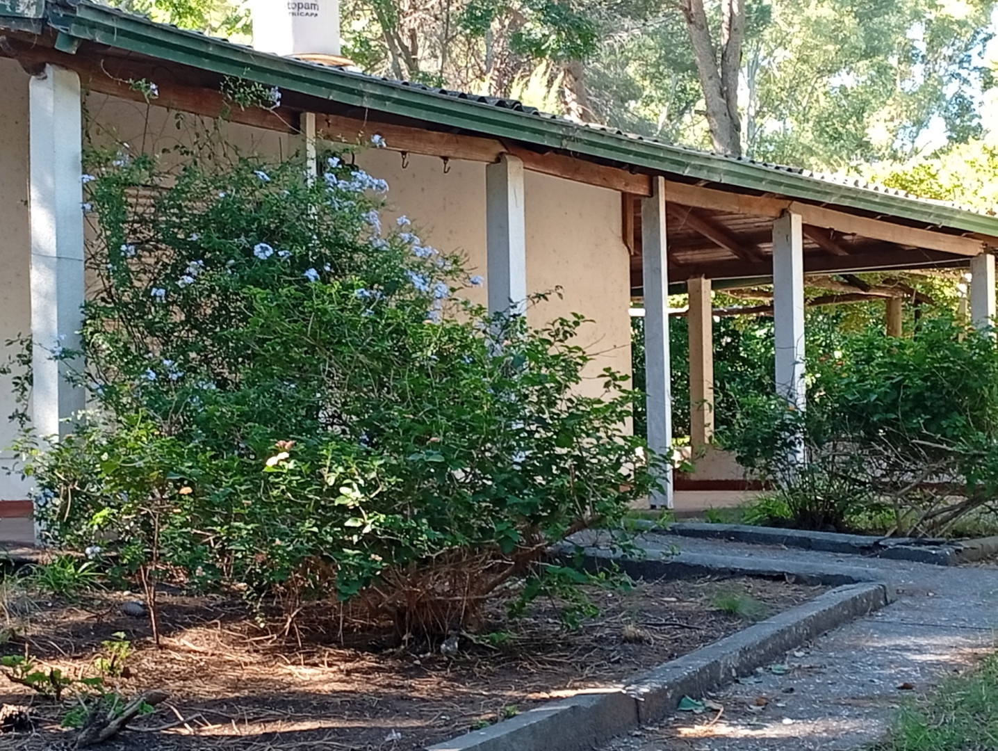 Casa en Venta en Azopardo 375,  Pehuen Co - Bahía Blanca Propiedades | SITIO OFICIAL l