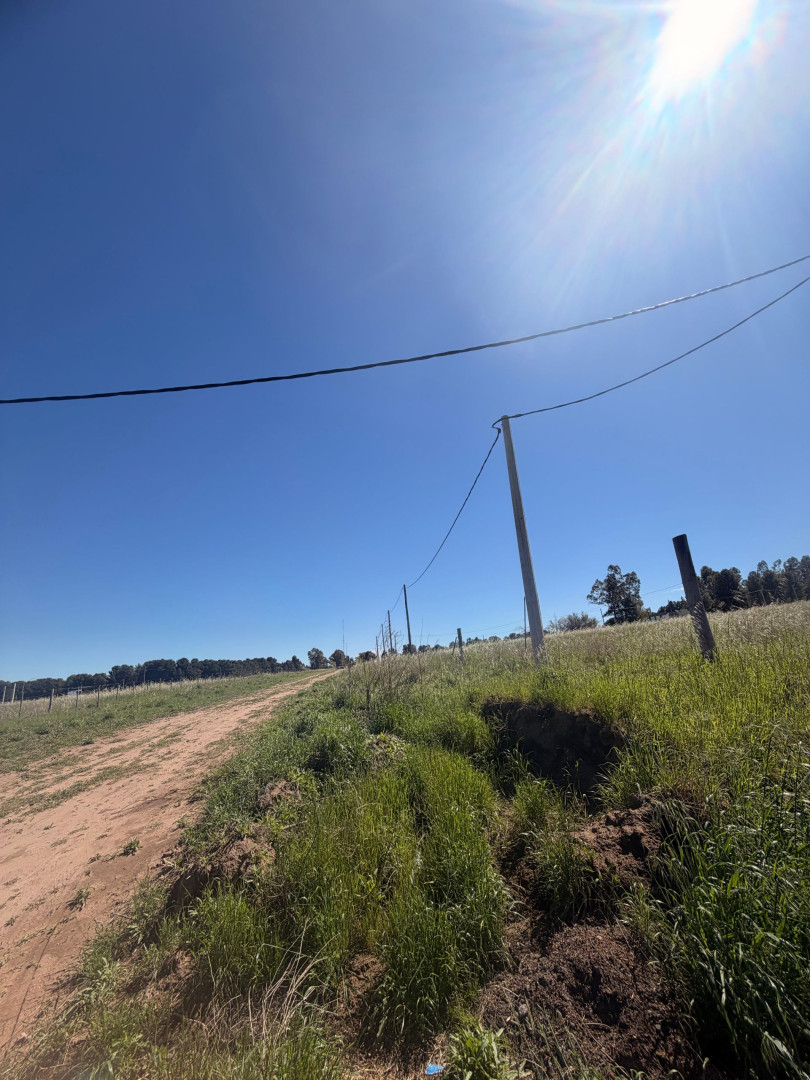 Terreno en Venta en Felipe Varela 1600, San Carlos, Bahía Blanca - Bahía Blanca Propiedades | SITIO OFICIAL l