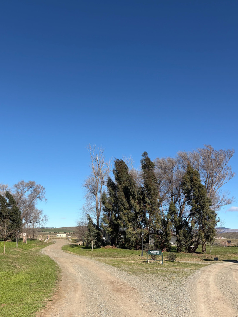 Terreno en Venta en KM 72, Las Verbenas , Sierra de  la Ventana - Bahía Blanca Propiedades | SITIO OFICIAL l