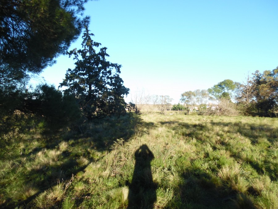 Terreno en Venta en Barrio Los Muñecos, Los Muñecos, Bahía Blanca - Bahía Blanca Propiedades | SITIO OFICIAL l
