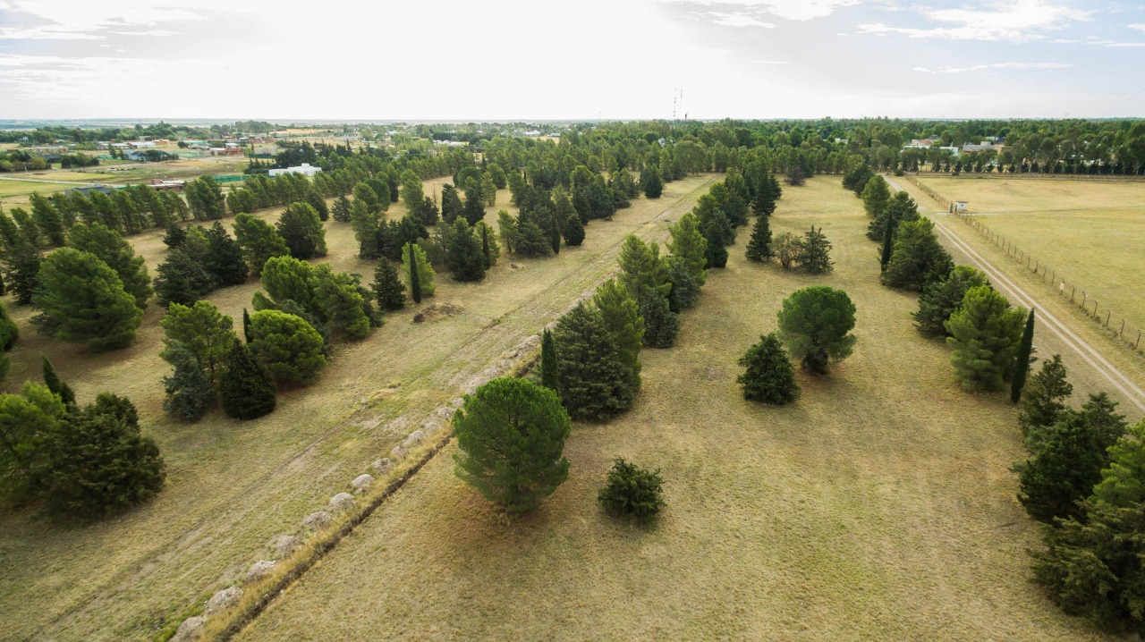 Terreno en Venta en Ruta 33 Km7.5,  Bahía Blanca - Bahía Blanca Propiedades | SITIO OFICIAL l