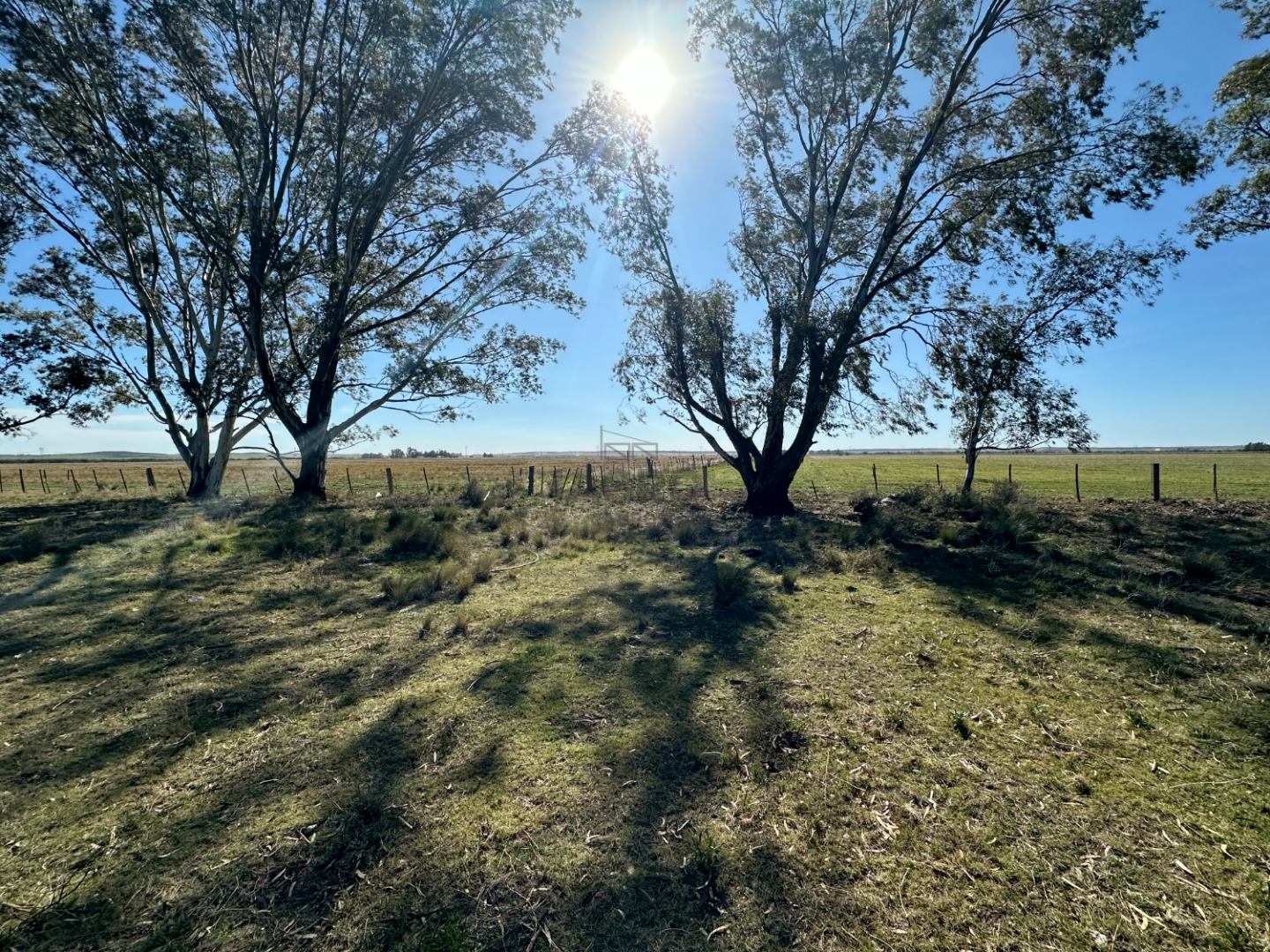 Campo  en Venta en Bahia Blanca,  Bahía Blanca - Bahía Blanca Propiedades | SITIO OFICIAL l