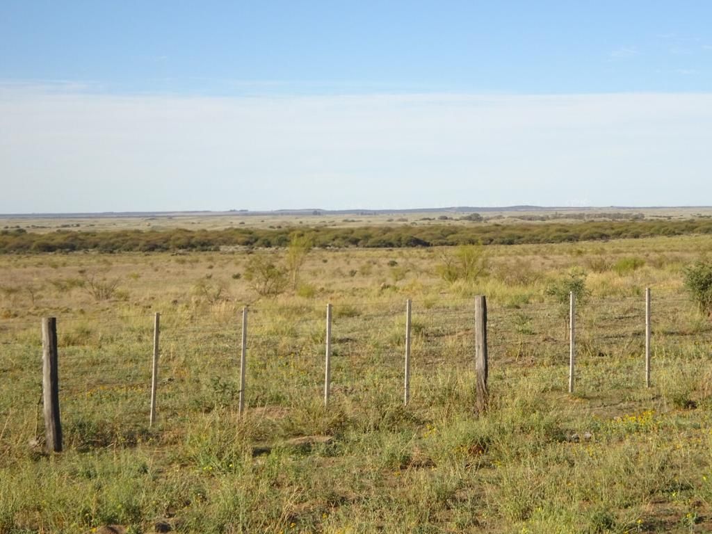 Campo  en Venta   Medanos - Bahía Blanca Propiedades | SITIO OFICIAL l