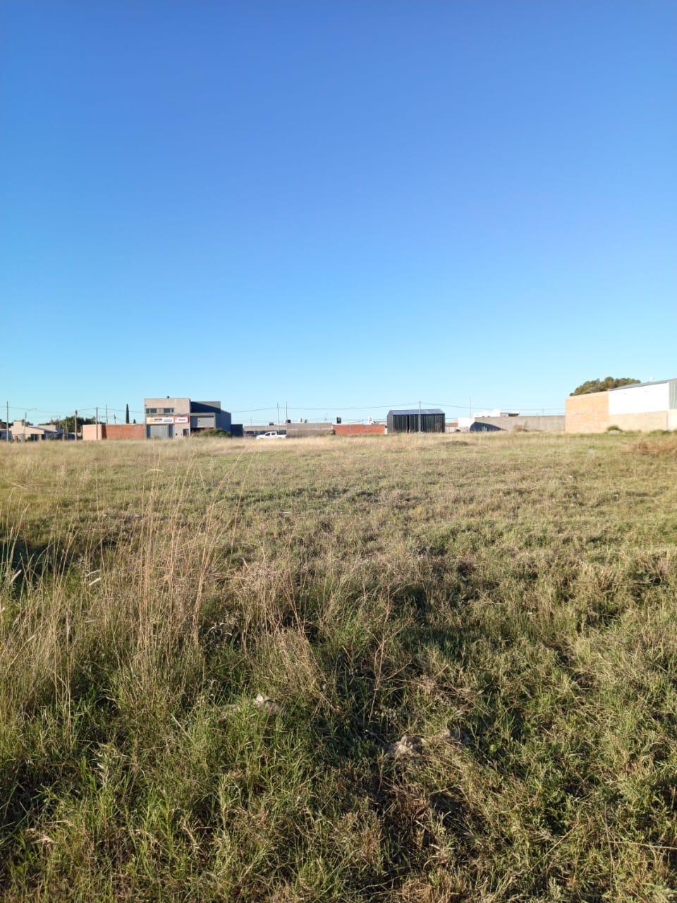 Terreno en Venta en Castelli 4000,  Bahía Blanca - Bahía Blanca Propiedades | SITIO OFICIAL l