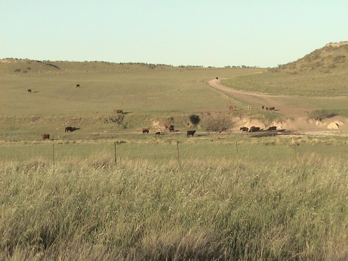 Campo  en Venta en Partido De Puan,  Puan - Bahía Blanca Propiedades | SITIO OFICIAL l