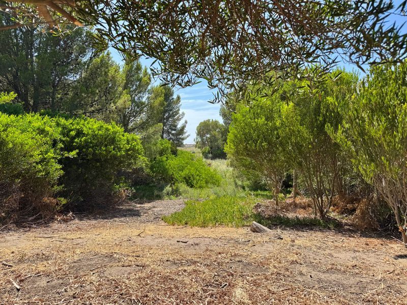 Terreno en Venta en La Florida, El Sauce, Monte Hermoso - Bahía Blanca Propiedades | SITIO OFICIAL l
