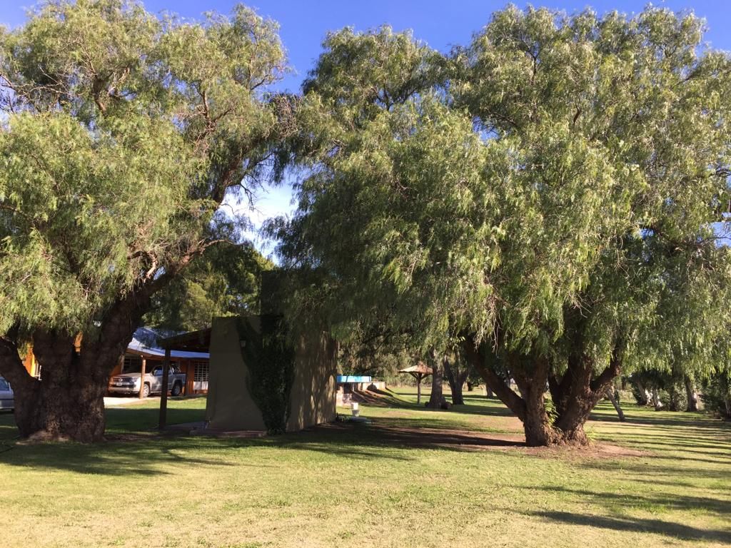 Casaquinta en Venta  Aldea Romana, Bahía Blanca - Bahía Blanca Propiedades | SITIO OFICIAL l
