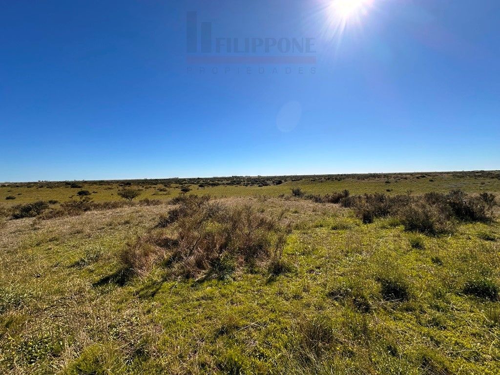 Campo  en Venta en Ruta 35 - Bahía Blanca Propiedades | SITIO OFICIAL l