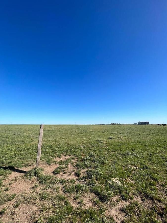 Terreno en Venta en Carrindanga ,  Bahía Blanca - Bahía Blanca Propiedades | SITIO OFICIAL l