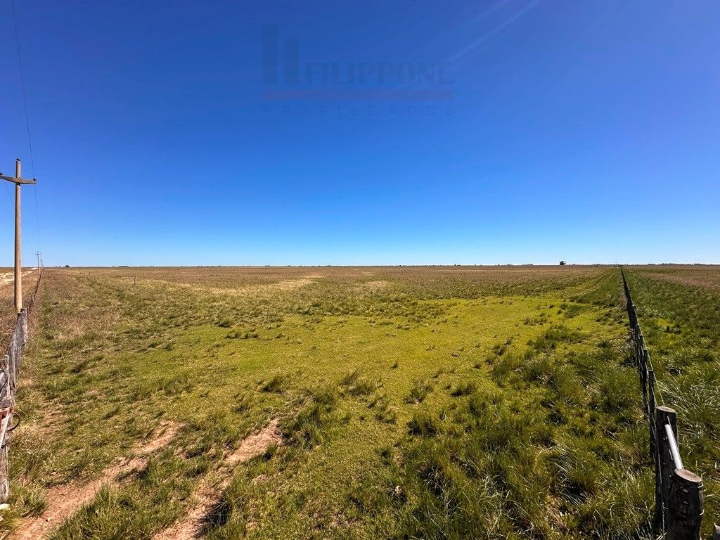 Campo  en Venta en Ruta 35 - Bahía Blanca Propiedades | SITIO OFICIAL l