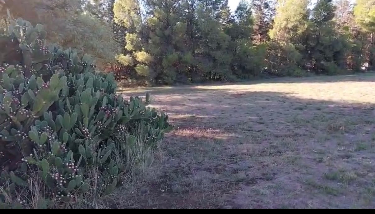 Terreno en Venta en Jorge Aguilar 5100, Las Lomitas, Bahía Blanca - Bahía Blanca Propiedades | SITIO OFICIAL l