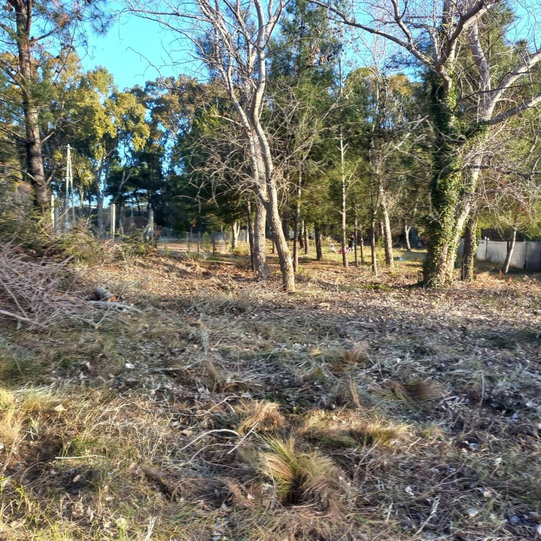 Terreno en Venta en Calle 8 Entre 9 Y 11, Pehuen Co,  Pehuen Co - Bahía Blanca Propiedades | SITIO OFICIAL l
