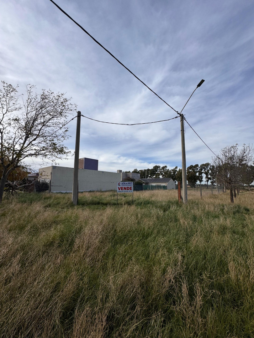 Terreno en Venta en Punta Alta Y Clegg, San Ignacio, Bahía Blanca - Bahía Blanca Propiedades | SITIO OFICIAL l