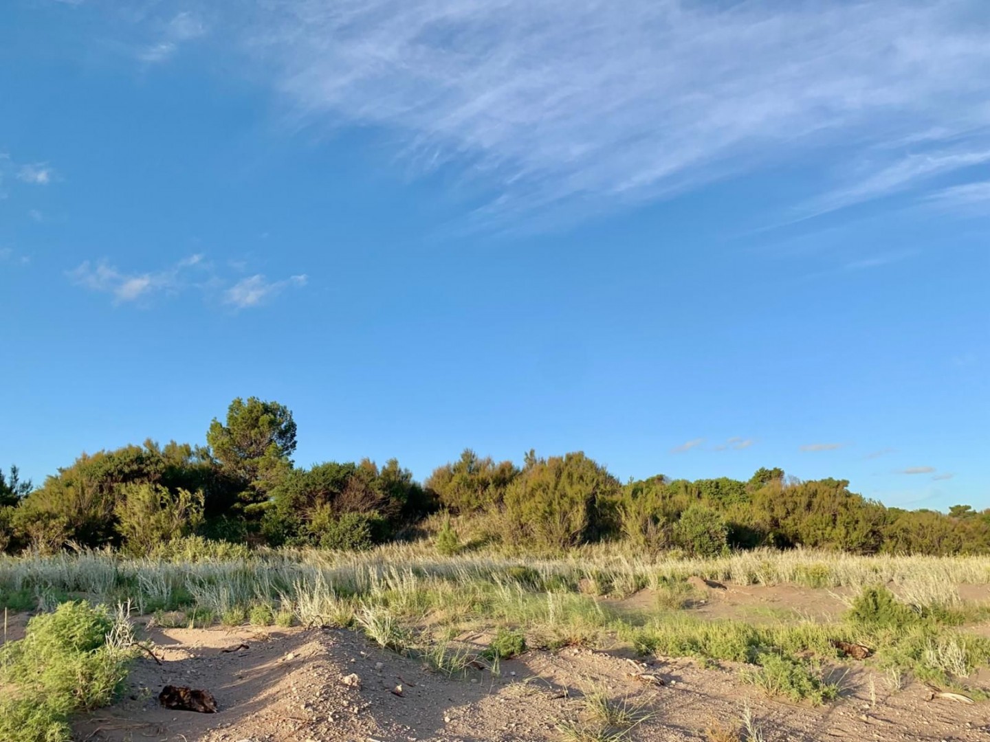 Terreno en Venta en Yatasto Y El Gavilán, Monte del Este, Monte Hermoso - Bahía Blanca Propiedades | SITIO OFICIAL l
