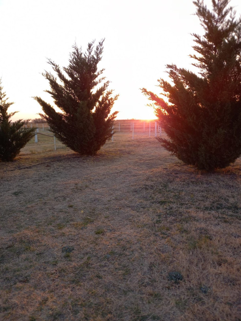 Casaquinta en Venta en Sector Rural,  Punta Alta - Bahía Blanca Propiedades | SITIO OFICIAL l