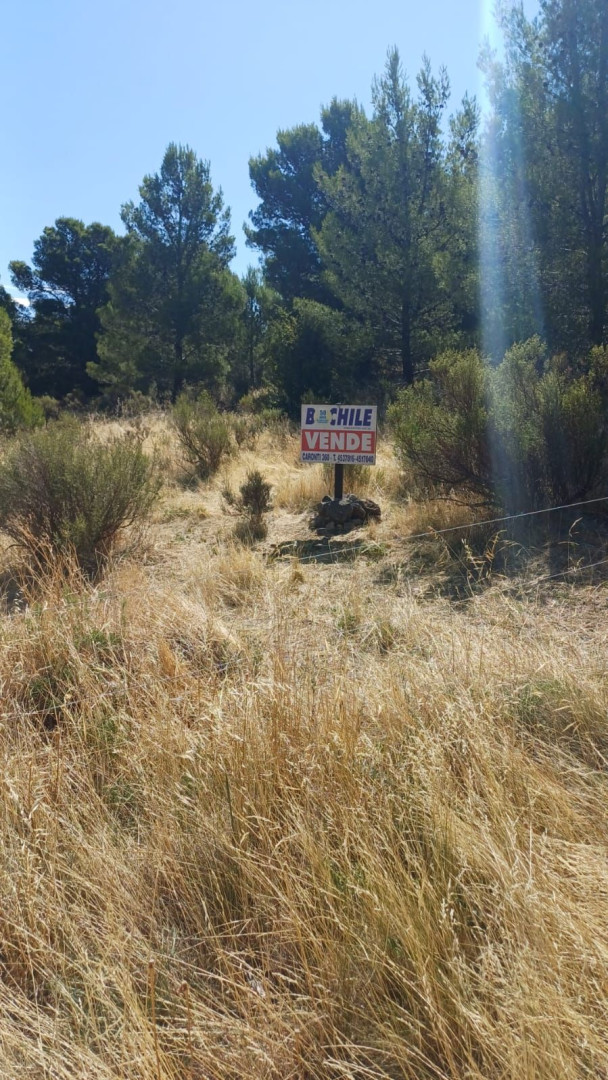 Terreno en Venta en Villa Serrana La Gruta,  Tornquist - Bahía Blanca Propiedades | SITIO OFICIAL l