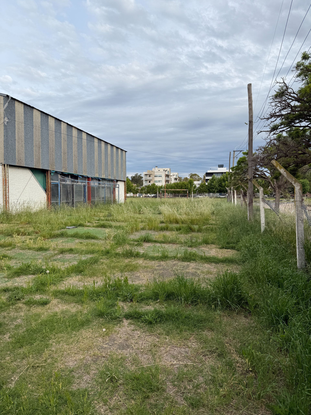 Fondo Comercio en Venta en Cerrito 2055, Villa Floresta, Bahía Blanca - Bahía Blanca Propiedades | SITIO OFICIAL l