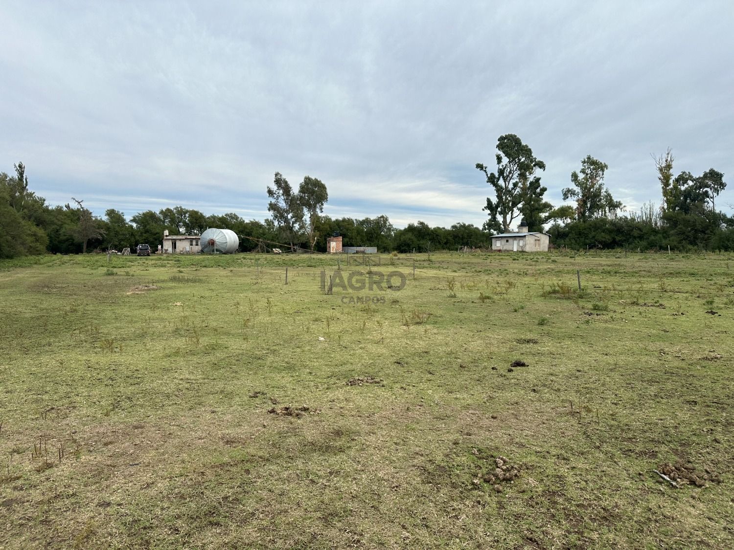 Campo  en Venta en Ruta 3,  Bahía Blanca - Bahía Blanca Propiedades | SITIO OFICIAL l