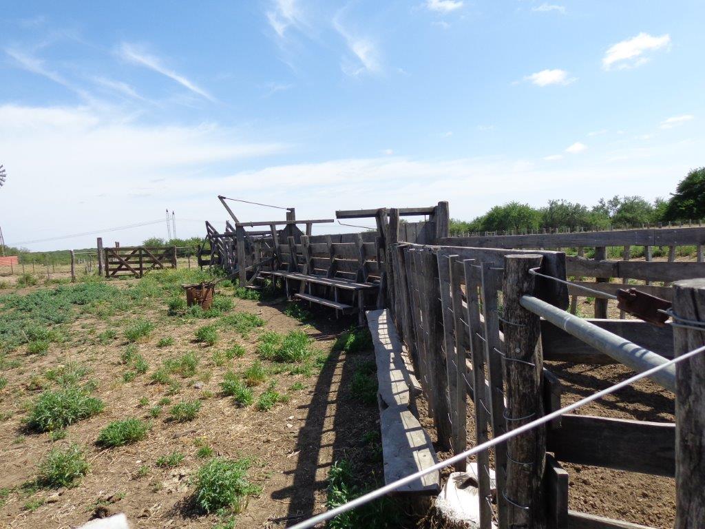 Campo  en Venta en Algarrobo Buenos Aires,  Algarrobo - Bahía Blanca Propiedades | SITIO OFICIAL l