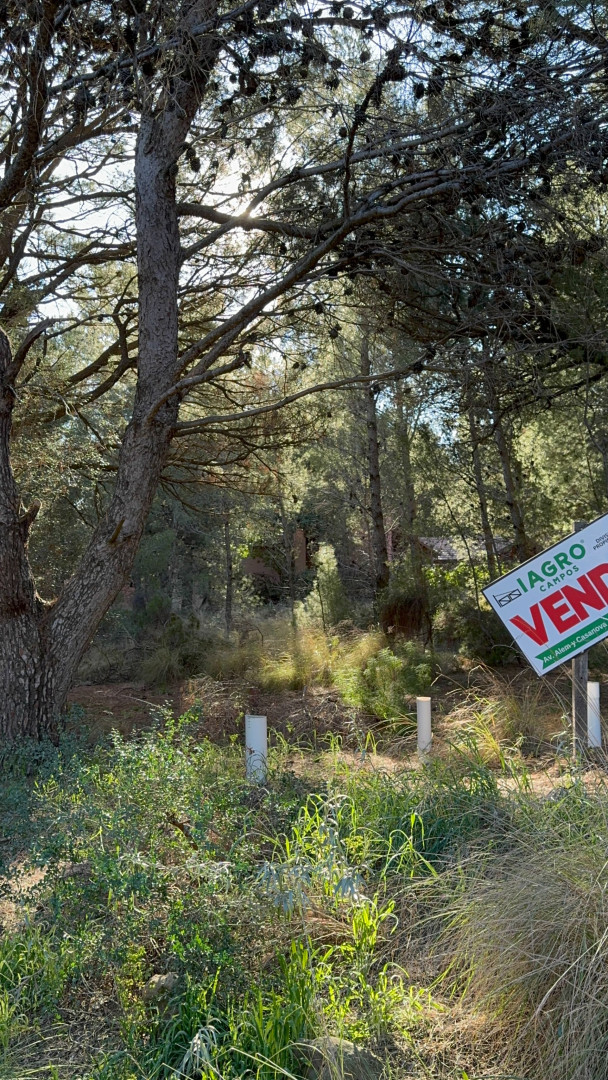 Terreno en Venta en Calle 8  Y Calle 1,  Pehuen Co - Bahía Blanca Propiedades | SITIO OFICIAL l