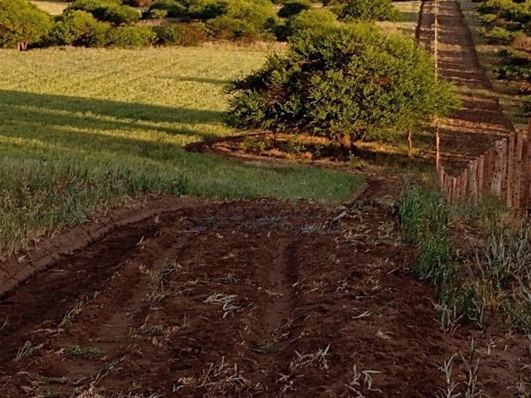 Campo  en Venta en A 18 Kilómetros De Algarrobo,  Villarino - Bahía Blanca Propiedades | SITIO OFICIAL l