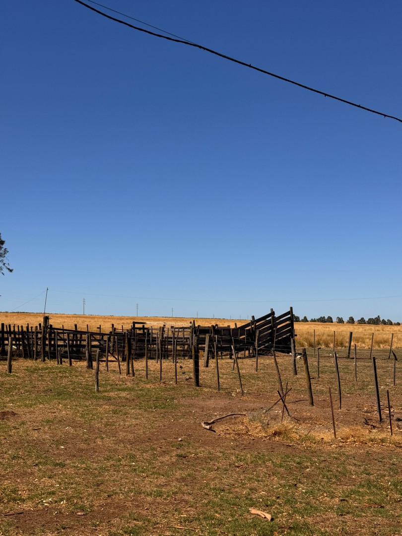 Campo  en Venta en RUTA 33 ,  Tornquist - Bahía Blanca Propiedades | SITIO OFICIAL l
