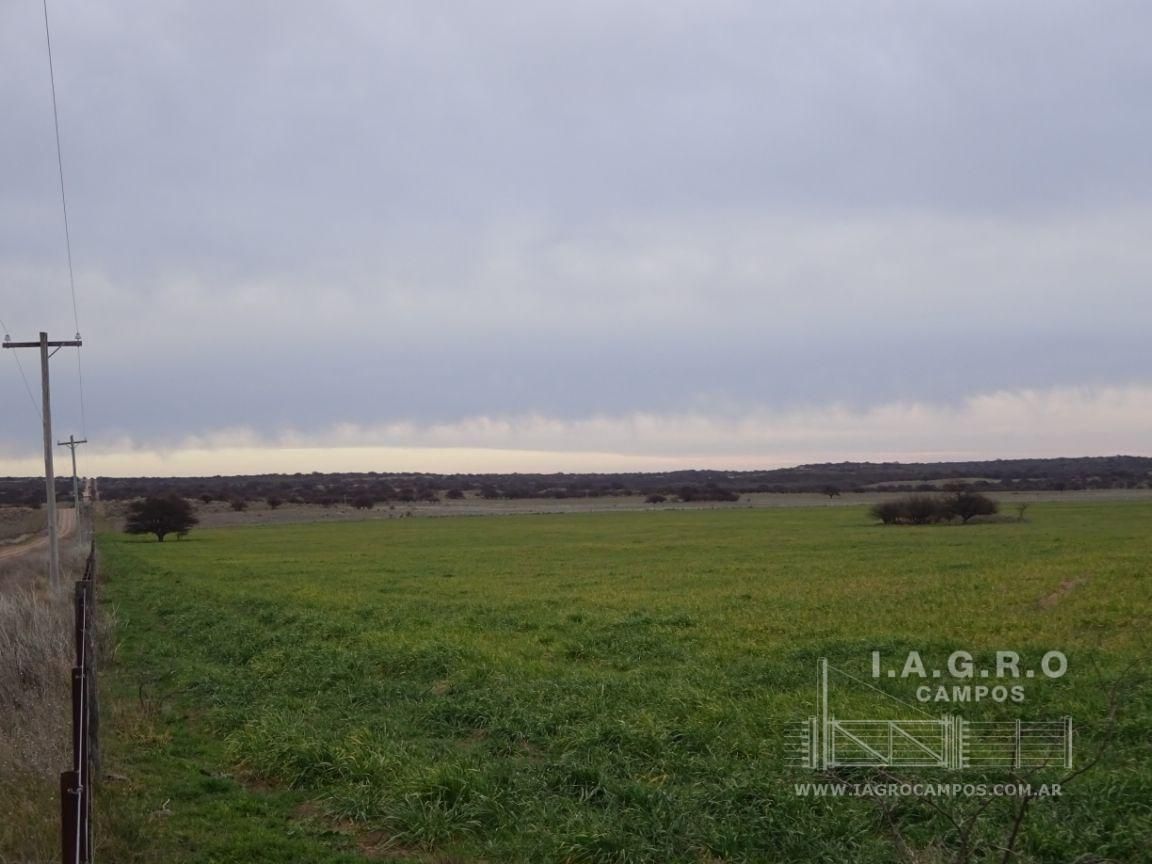 Campo  en Venta en Villarino,  Villarino - Bahía Blanca Propiedades | SITIO OFICIAL l