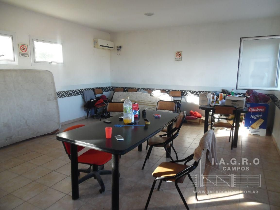 Terreno en Venta en Ruta Nacional 3 Sur Km 695,  Bahía Blanca - Bahía Blanca Propiedades | SITIO OFICIAL l