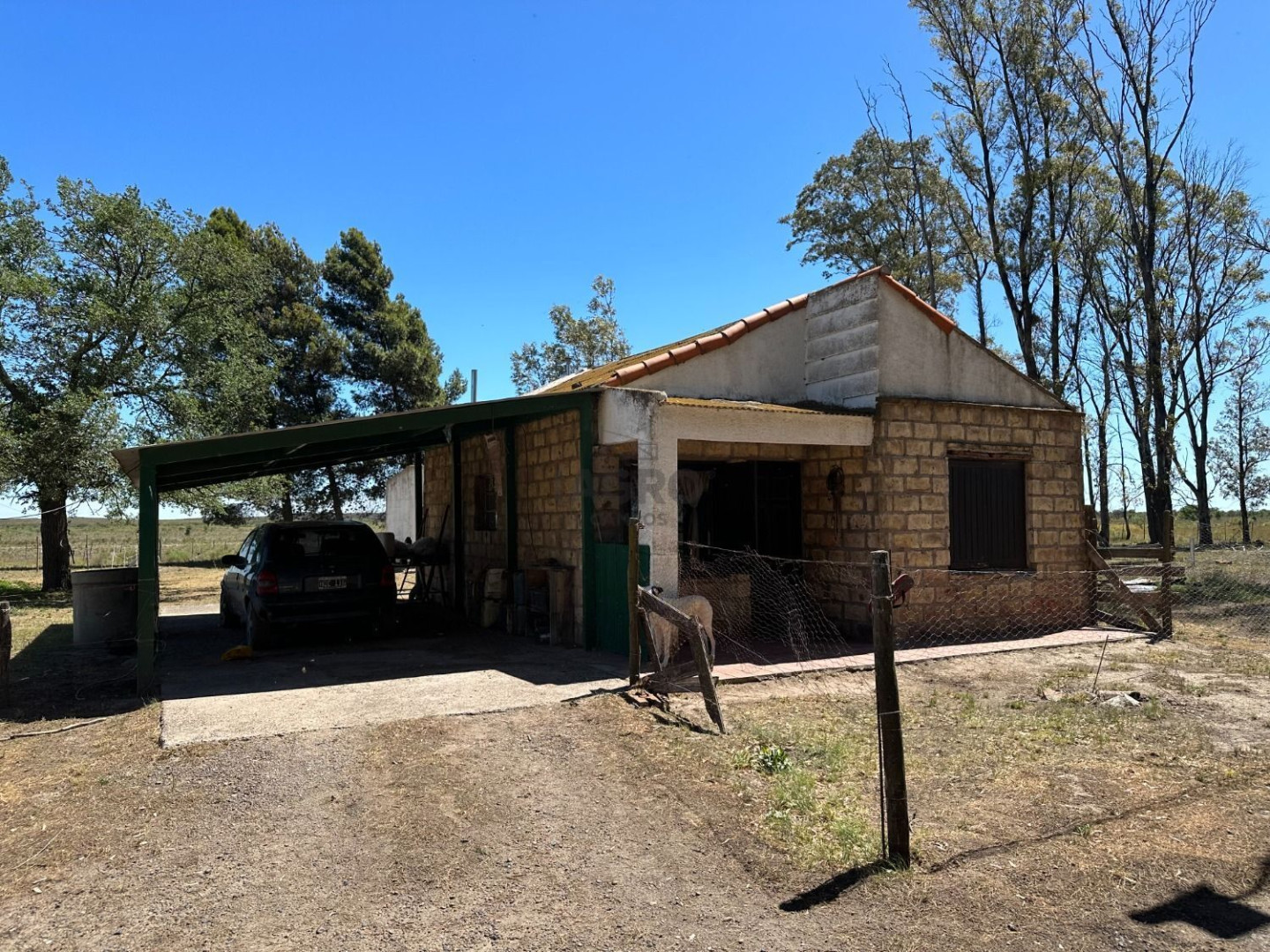 Campo  en Venta en Juan A. Pradere,  Carmen de Patagones - Bahía Blanca Propiedades | SITIO OFICIAL l