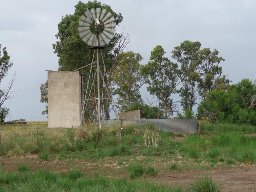 Campo  en Venta en Chasico - Pcia. De Buenos Aires,  Chasico - Bahía Blanca Propiedades | SITIO OFICIAL l